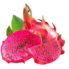 PITAYA VERMELHA LESSA KG