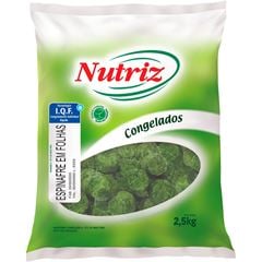ESPINAFRE FOLHAS CONG NUTRIZ 2,5KG