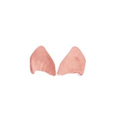 ORELHAS/MASCARA SUINAS SALG AURORA 5KG